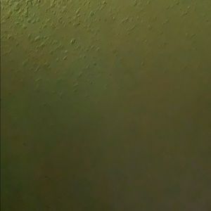 Meet your Posher, Beep beep lechuga